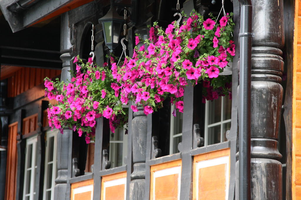 Solvgarden Cottages Rysstad Exterior foto